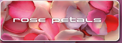 Rose_petals_gb